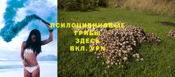 амф Ельня