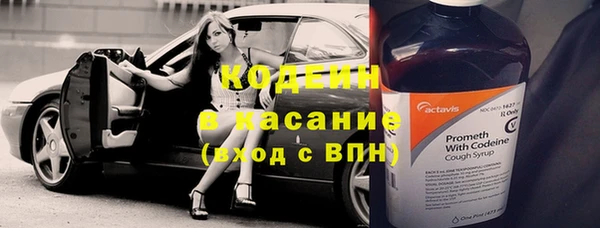 ПСИЛОЦИБИНОВЫЕ ГРИБЫ Заводоуковск