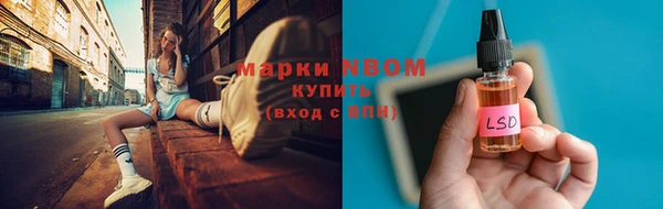 ПСИЛОЦИБИНОВЫЕ ГРИБЫ Заводоуковск