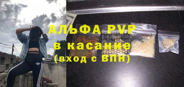 СК Елабуга