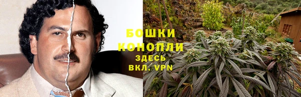 амфетамин Елизово