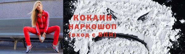 амф Ельня
