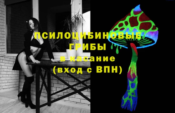 ПСИЛОЦИБИНОВЫЕ ГРИБЫ Заводоуковск
