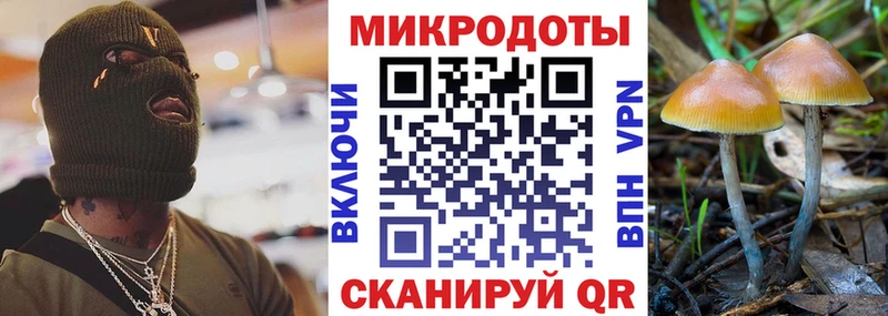 Псилоцибиновые грибы мицелий дарнет шоп Карабулак