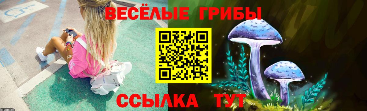 ГАШ  Карабулак  A PVP СК кристаллы  COCAIN  MDMA  Мефедрон кристаллы  Вход с VPN  Конопля  МЕТАДОН 